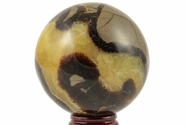 Polished Septarian Sphere - Madagascar #203651